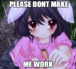 .jpg