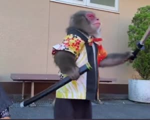 doc2025-08-0719-09-31.mp4
