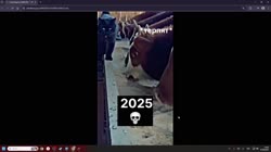 1613870080051.mp4