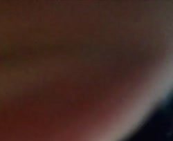 523d21737a0ff4.mp4