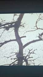 IMG-20250806-WA0011.jpeg