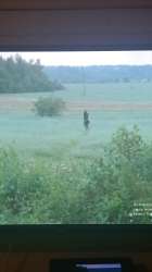 IMG-20250806-WA0002.jpeg
