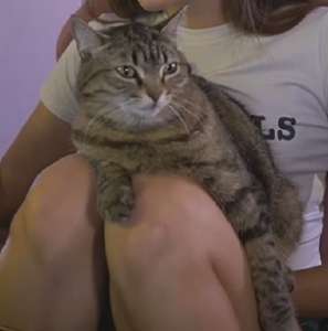 1709160845615.png