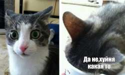 Без названия.jpg