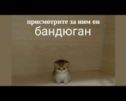 sCb2g4t6R9bJZJReu7ZuwJ8xEo6AkjpyxTTRedsKseT8ZhO9ycnBMegLrHROgNjhbdC9c0a.jpg