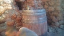 1754647019231.mp4
