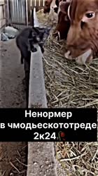17544225861070.mp4
