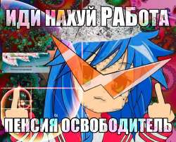 .jpg