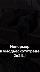 1749697343860.mp4