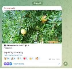 изображение.png