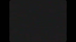 17545636213840.mp4