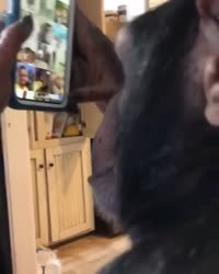 dd5b19c7977975c0fe327517dad19203.mp4