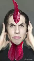 17540329300600.mp4