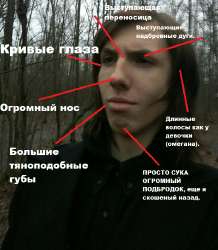 c41846f9f01a90a8b36704ef6ce7b5a4.jpg