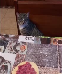 Мне нужен беляш... Беляш!!! Но у нас нету беляшов.mp4