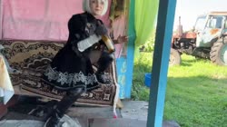VID20250726104329739.mp4
