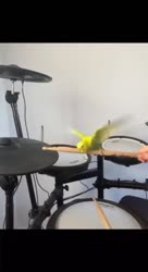 1754739558535.mp4