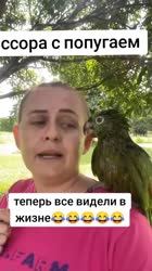 1754740524556.mp4