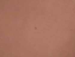 {7443722A-CC7D-49C3-BB12-04723367F686}.png