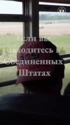 нелегал.mp4
