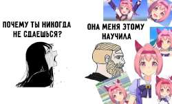 .jpg