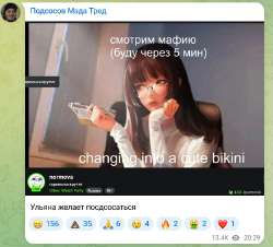 pmttg1.jpg
