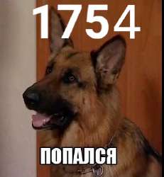 1и7ж5п4.png
