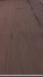 VID20250815143910595.mp4