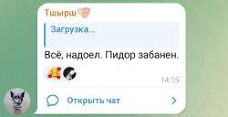 шыш.jpg