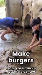 17536945880270.mp4