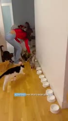 1754849900488.mp4
