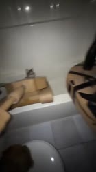 catz.mp4
