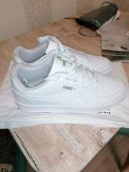 IMG-20250810-WA0000.jpg