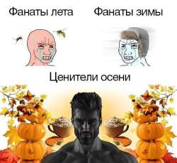 1754896812936.jpg