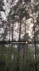 nerirainy.mp4