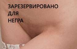 Снимок экрана 2025-08-11 172523.png