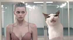 17520975899240.mp4