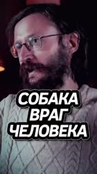 Кошки VS Собаки.mp4