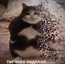 images.jpg