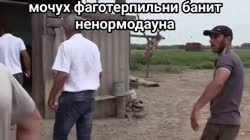 16690794554980.mp4