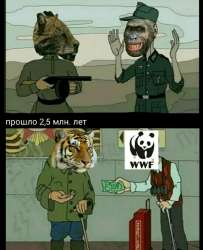 1623556241731.jpg