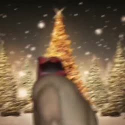 125fe24e0aed8b45c43a765d25f91dba.mp4