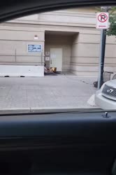 .mp4