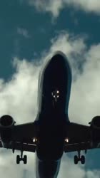 VID20250812073801133.mp4