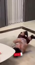 17548306672740.mp4