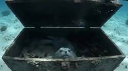 17548634427830.mp4