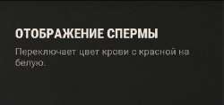 изображение.png