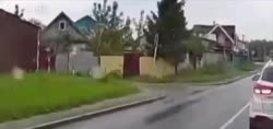 356883229.mp4