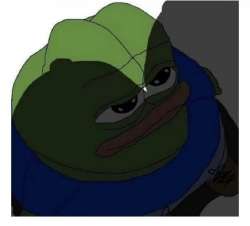 i.jpeg