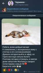 Screenshot20250813171118Telegram.jpg